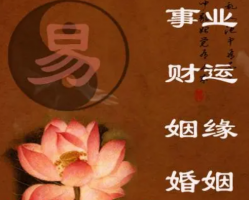 b型血女人的性格特点 B型血女生性格解析