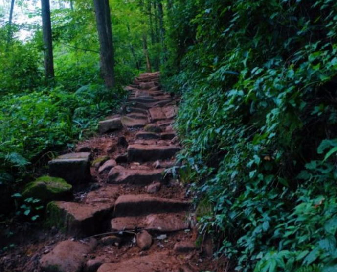 青城山小路