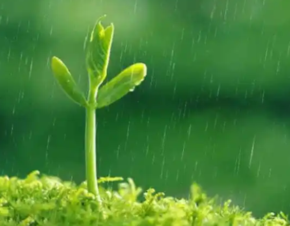 易经五行中说的“水生木”是什么意思？   