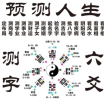 b型血女人的性格特点 B型血女生性格解析